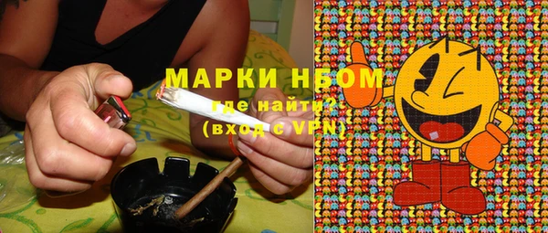 шишки Балабаново