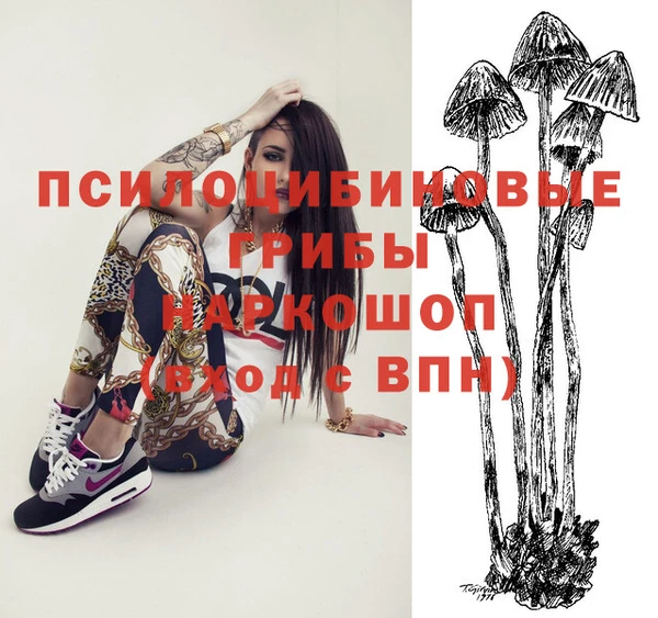 мяу мяу мука Баксан