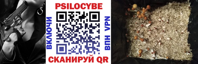 дарк нет как зайти  ссылка на мегу онион  Светогорск  Галлюциногенные грибы Psilocybine cubensis 